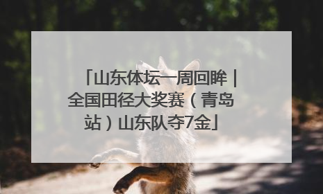 山东体坛一周回眸｜全国田径大奖赛（青岛站）山东队夺7金