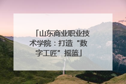 山东商业职业技术学院：打造“数字工匠”摇篮