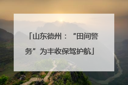 山东德州：“田间警务”为丰收保驾护航