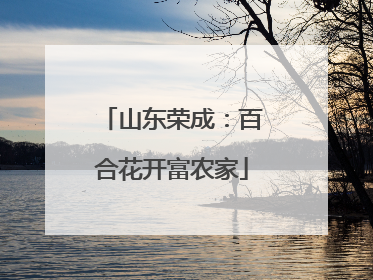 山东荣成：百合花开富农家