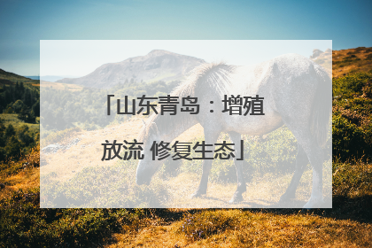 山东青岛：增殖放流 修复生态