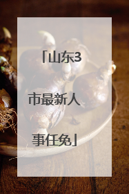 山东3市最新人事任免