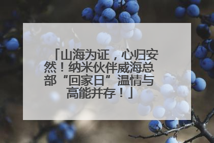 山海为证，心归安然！纳米伙伴威海总部“回家日”温情与高能并存！
