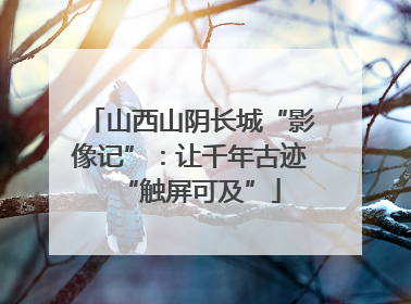 山西山阴长城“影像记”：让千年古迹“触屏可及”
