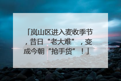 岚山区进入麦收季节，昔日“老大难”，变成今朝“抢手货”！