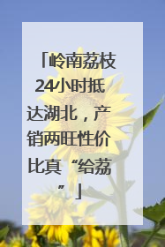 岭南荔枝24小时抵达湖北，产销两旺性价比真“给荔”