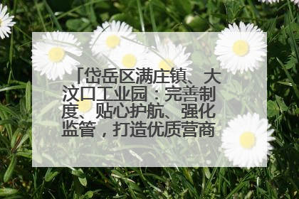 岱岳区满庄镇、大汶口工业园：完善制度、贴心护航、强化监管，打造优质营商“强磁场”