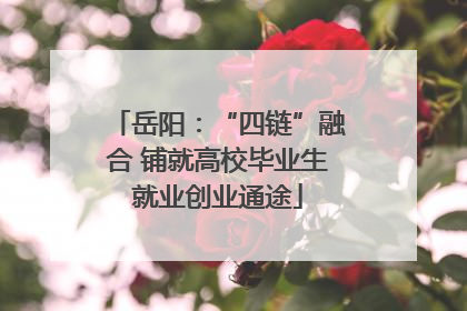 岳阳：“四链”融合 铺就高校毕业生就业创业通途