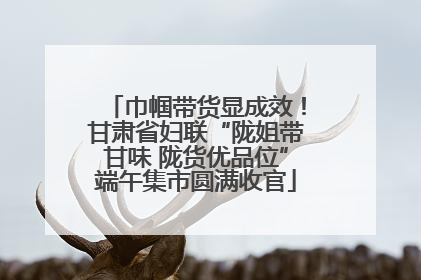 巾帼带货显成效！甘肃省妇联“陇姐带甘味 陇货优品位”端午集市圆满收官