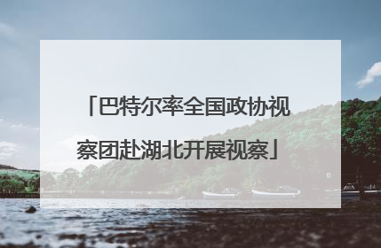 巴特尔率全国政协视察团赴湖北开展视察
