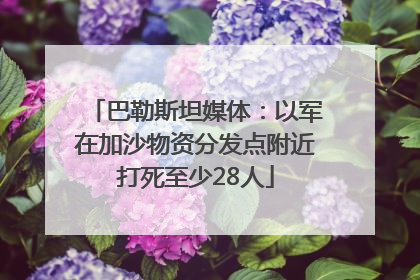巴勒斯坦媒体：以军在加沙物资分发点附近打死至少28人