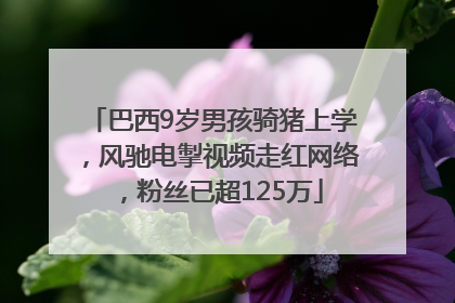 巴西9岁男孩骑猪上学，风驰电掣视频走红网络，粉丝已超125万