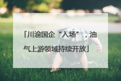 川渝国企“入场”，油气上游领域持续开放