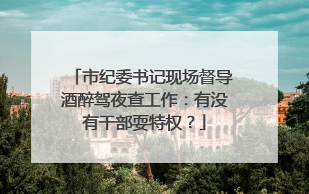 市纪委书记现场督导酒醉驾夜查工作：有没有干部耍特权？