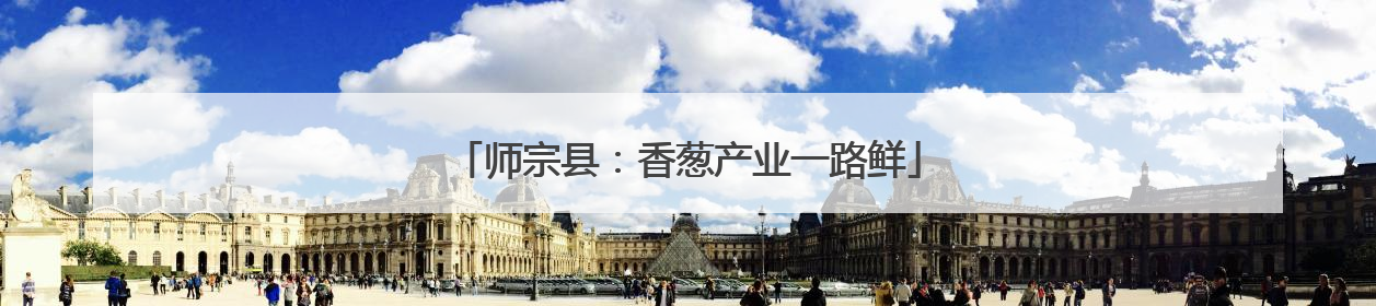 师宗县：香葱产业一路鲜