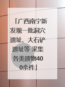 广西南宁新发现一批洞穴遗址、大石铲遗址等 采集各类遗物400余件
