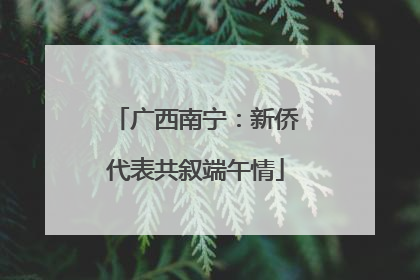 广西南宁：新侨代表共叙端午情