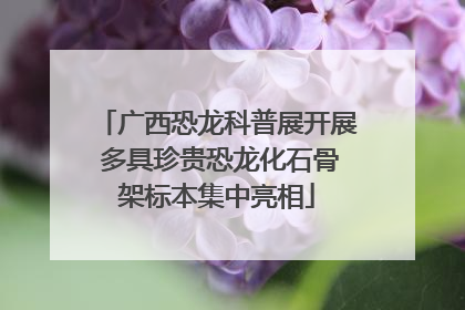 广西恐龙科普展开展 多具珍贵恐龙化石骨架标本集中亮相