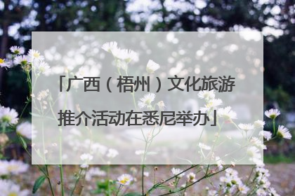 广西（梧州）文化旅游推介活动在悉尼举办