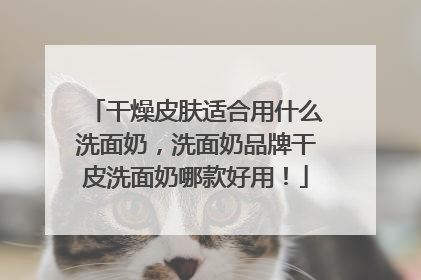 干燥皮肤适合用什么洗面奶，洗面奶品牌干皮洗面奶哪款好用！