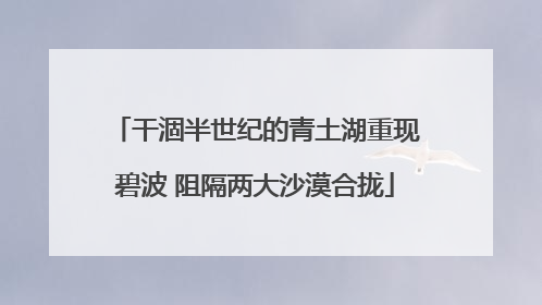 干涸半世纪的青土湖重现碧波 阻隔两大沙漠合拢