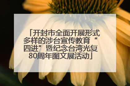 开封市全面开展形式多样的涉台宣传教育“四进”暨纪念台湾光复80周年图文展活动