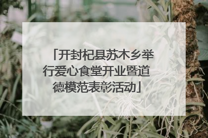 开封杞县苏木乡举行爱心食堂开业暨道德模范表彰活动
