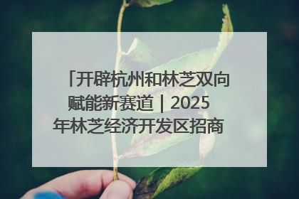 开辟杭州和林芝双向赋能新赛道｜2025年林芝经济开发区招商引资（杭州）推介展销活动在杭举办