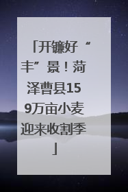 开镰好“丰”景！菏泽曹县159万亩小麦迎来收割季