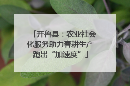 开鲁县：农业社会化服务助力春耕生产跑出“加速度”