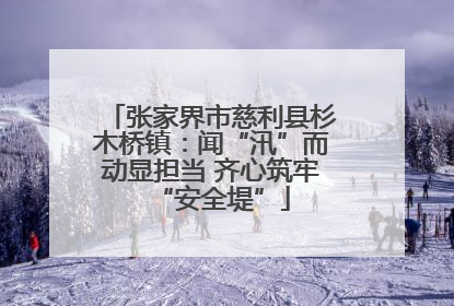 张家界市慈利县杉木桥镇：闻“汛”而动显担当 齐心筑牢“安全堤”