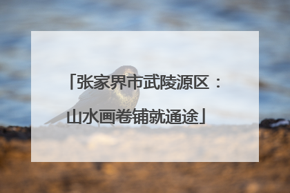 张家界市武陵源区：山水画卷铺就通途