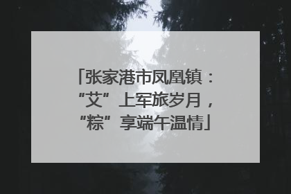 张家港市凤凰镇：“艾”上军旅岁月，“粽”享端午温情