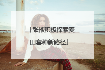 张掖积极探索麦田套种新路径