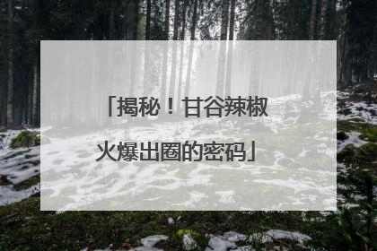 揭秘！甘谷辣椒火爆出圈的密码