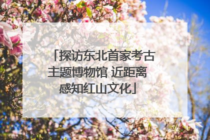 探访东北首家考古主题博物馆 近距离感知红山文化