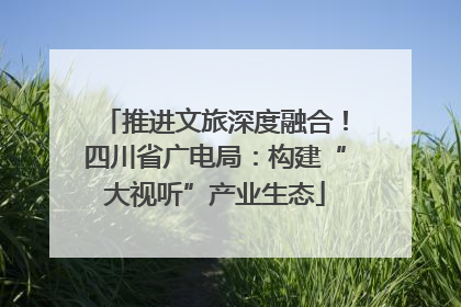 推进文旅深度融合！四川省广电局：构建“大视听”产业生态