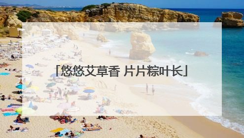 悠悠艾草香 片片粽叶长