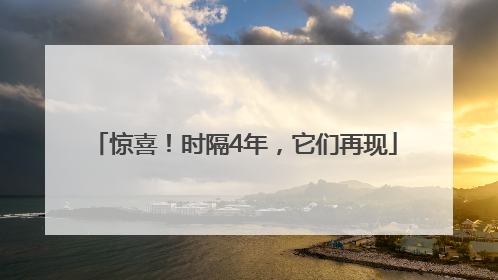 惊喜！时隔4年，它们再现