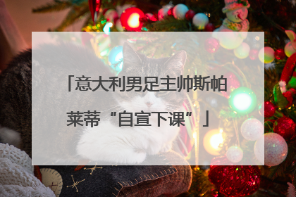 意大利男足主帅斯帕莱蒂“自宣下课”