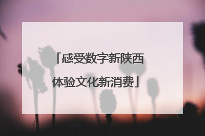 感受数字新陕西 体验文化新消费