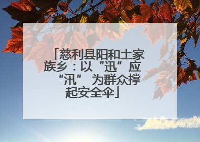 慈利县阳和土家族乡：以“迅”应“汛” 为群众撑起安全伞