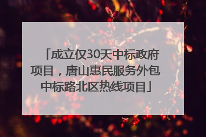 成立仅30天中标政府项目，唐山惠民服务外包中标路北区热线项目