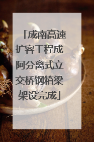 成南高速扩容工程成阿分离式立交桥钢箱梁架设完成
