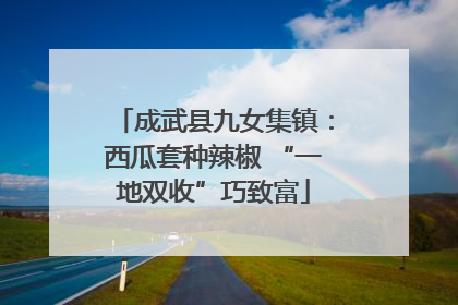 成武县九女集镇：西瓜套种辣椒 “一地双收”巧致富
