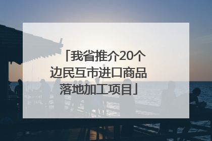我省推介20个边民互市进口商品落地加工项目