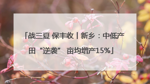 战三夏 保丰收丨新乡：中低产田“逆袭” 亩均增产15%