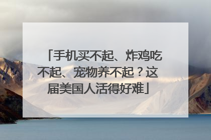 手机买不起、炸鸡吃不起、宠物养不起？这届美国人活得好难