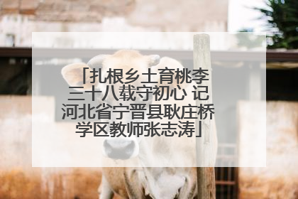 扎根乡土育桃李 三十八载守初心 记河北省宁晋县耿庄桥学区教师张志涛