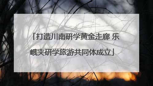 打造川南研学黄金走廊 乐峨夹研学旅游共同体成立